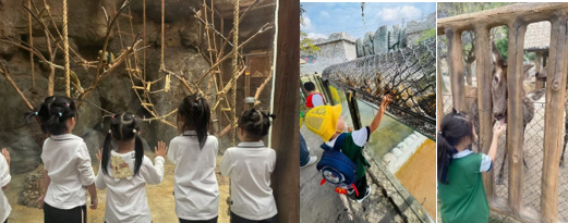 20241121_090829_426878.png image.png